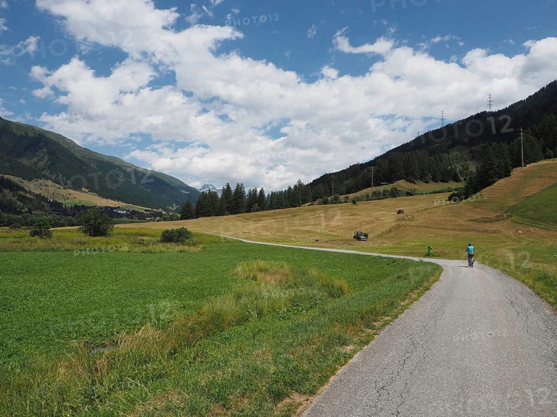Open landscape with a bike path surrounded by green fields and blue sky with clouds, Rottenweg, Goms, Canton of Valais, Switzerland