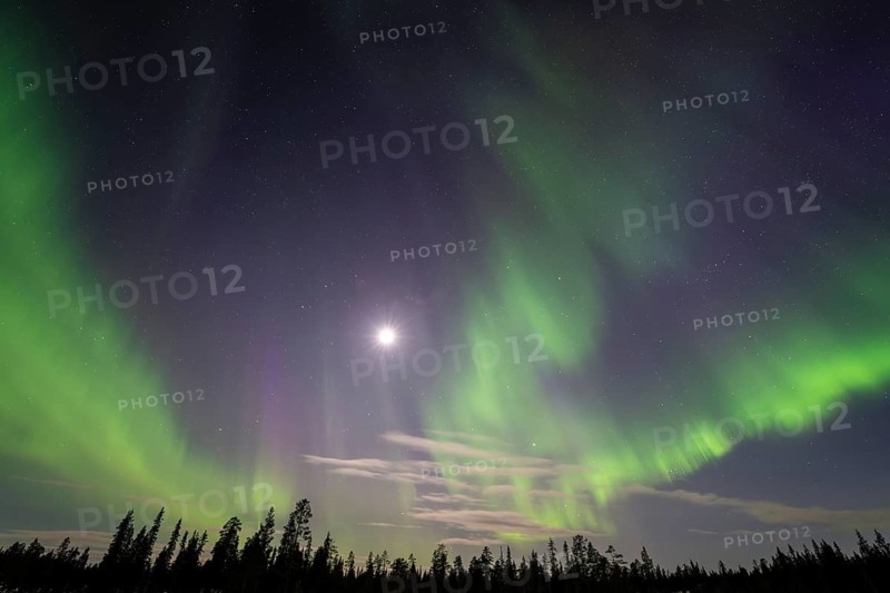 Northern Lights (Aurora borealis), Muddus National Park, Laponia World Heritage Site, Norrbotten, Lapland, Sweden, April 2025