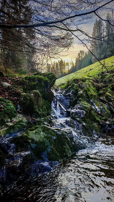 A small waterfall flows over moss-covered stones in a forest, Remptendorf, Thuringian Highlands nature park Park, Obere Saale, Thuringia