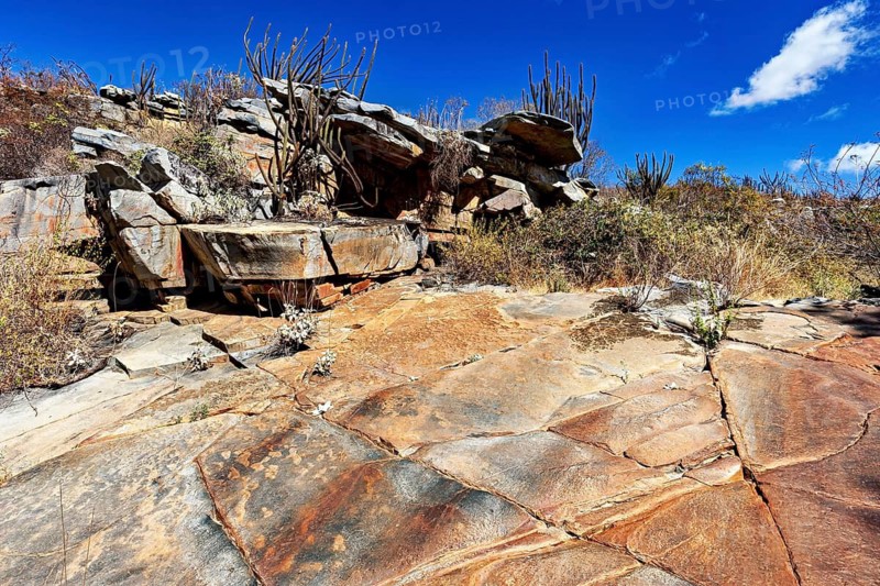 Dry rocky landscape with isolated succulents under bright blue skies, the thornshrub savanna in the Caatinga landscape in the federal states of Pernambuco and Bahia in Brazil