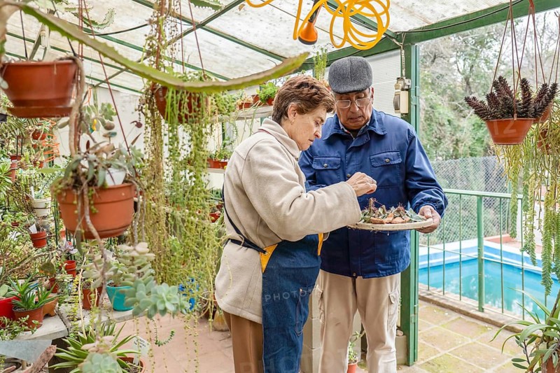 Older couple stands near the exit of their home greenhouse examining a flat succulent tray, with a backyard swimming pool and garden visible through the open structure behind them