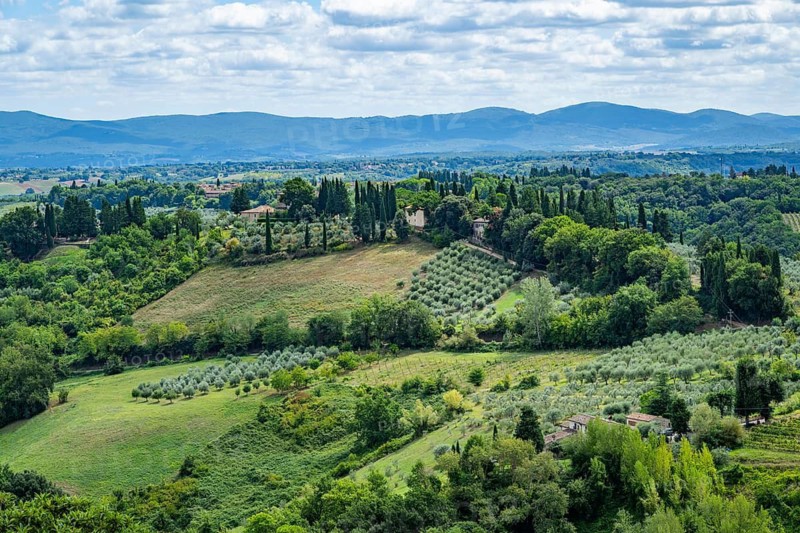 View from San Gimignano into the countryside with olive trees, vineyards, fields, and bushes, Tuscany, UNESCO World Heritage, Italy, Europe, Europe