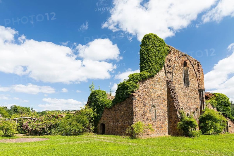 Ruins of Holy Cross Abbey, Meissen, Saxony, Germany