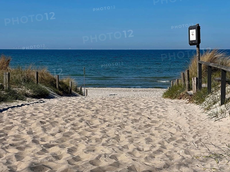 Sand trail leads to a quiet beach with a blue sea and a clear sky, Graal-Müritz, Mecklenburg-Western Pomerania, Germany