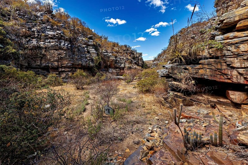 Dramatic rocky gorge surrounded by cacti and dry vegetation, the thornshrub savanna in the Caatinga countryside in the federal states of Pernambuco and Bahia in Brazil