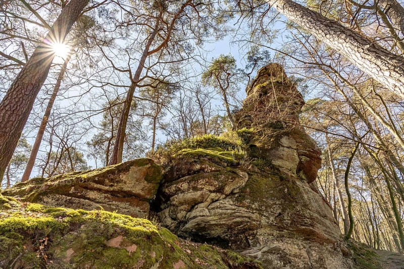 Rock formation in the Dahner Felsenland near Dahn, Palatinate Forest, Rhineland-Palatinate, Germany