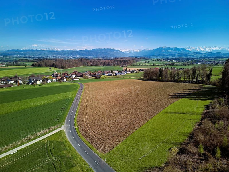 View of the hamlet of Rüstenwil, back the Alps with the Rigi, Auw, Freiamt, Canton of Aargau, Switzerland