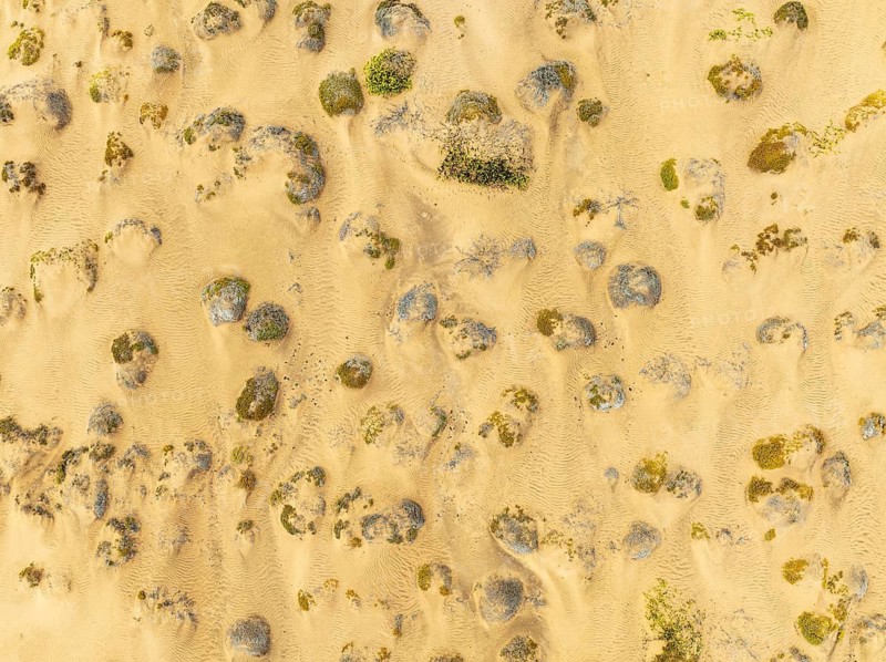 Sparse desert vegetation, mainly Salsola species. Aerial view. Drone shot. Namib Desert, Skeleton Coast, Namibia