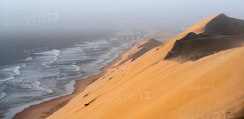 Sand dunes with wave patterns and sea in evening light, wind blowing sand across the dunes, Atlantic coast and sandy desert with sea of dunes, impressive desert landscape, Sandwich Harbour, Namib Naukluft Park, Namib Desert, Namibia