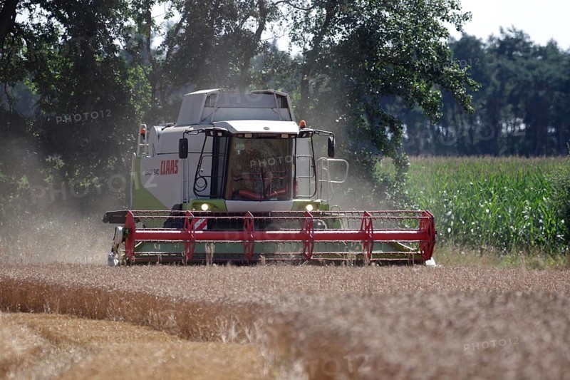 Combine harvester, Claas Lexion 540, wheat (Triticum), cereal harvest, Germany, the wheat is being threshed