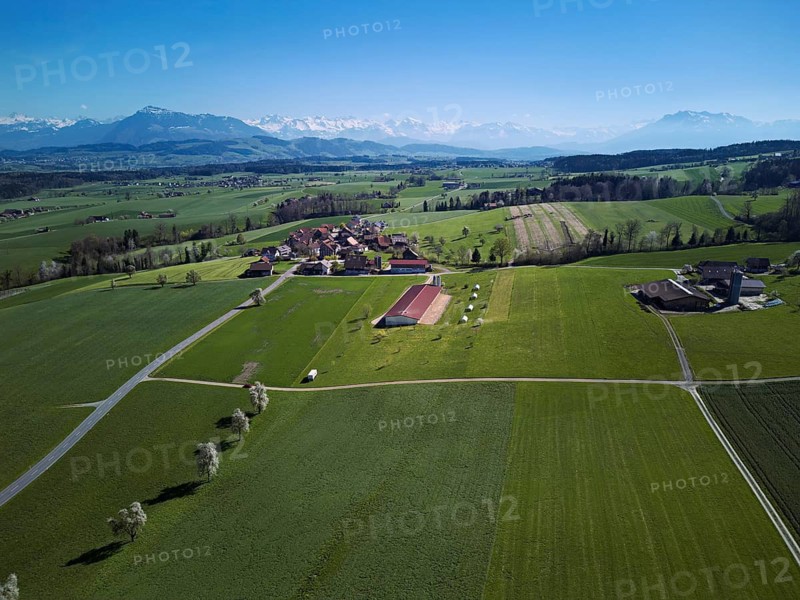 View of the hamlet of Alikon, with the Alps with the Rigi and Pilatus in the back, Sins, Freiamt, Aargau Canton, Switzerland