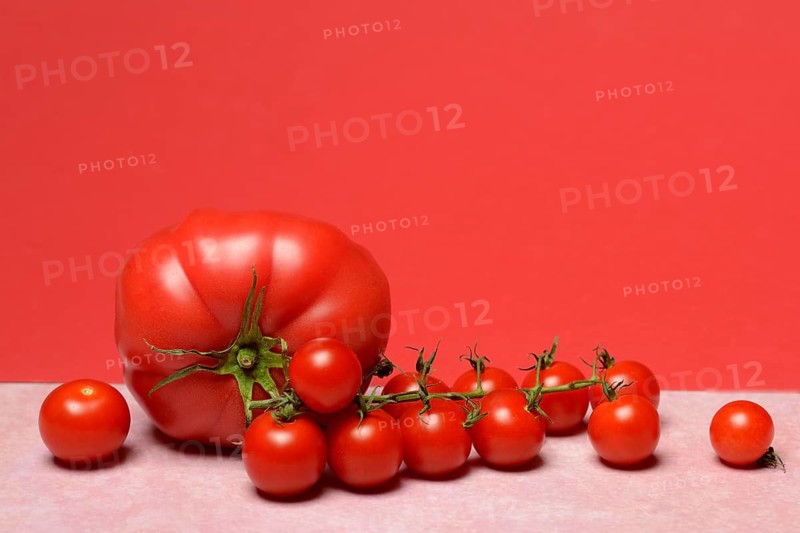 Beef tomato and cherry vine tomatoes with red background