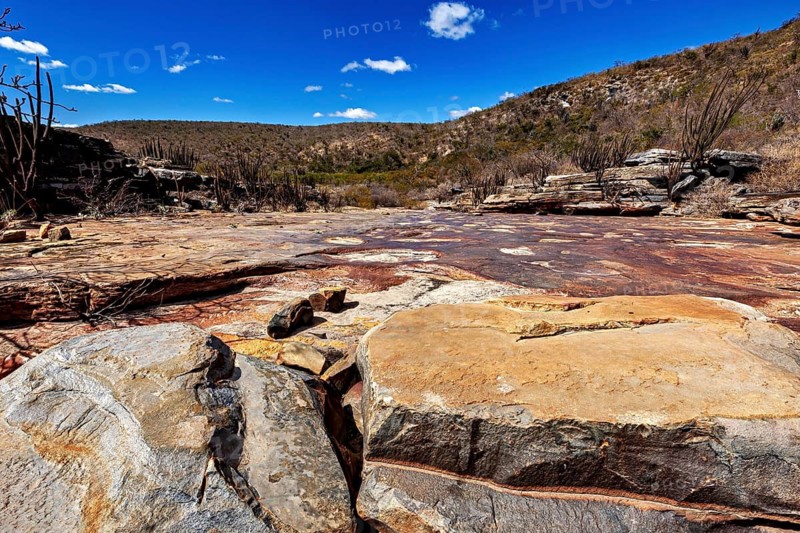 Wide desert landscape with dry vegetation and rocks, under bright blue skies, the thornshrub savanna in the Caatinga countryside in the federal states of Pernambuco and Bahia in Brazil