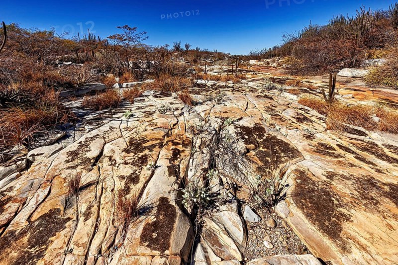 Extensive, stony desert landscape with sporadic plant growth, the thornshrub savanna in the Caatinga landscape in the federal states of Pernambuco and Bahia in Brazil