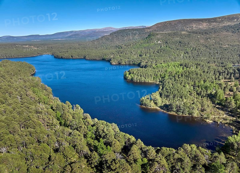 Aerial drone photo Mountain and Forest landscape at Loch Eilein in the Cairn Gorm National Park, Aviemore in Scotland, UK