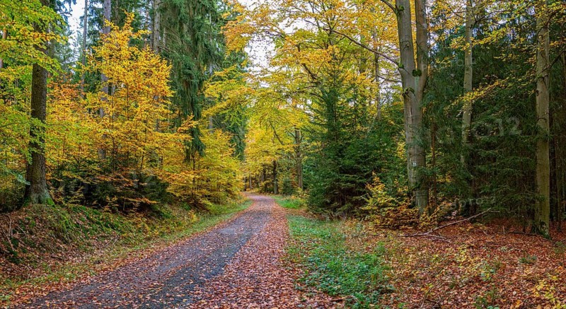 Greiz-Werdauer-Wald, Thuringia, autumn, crumb metal, landscape, landscape, Vogtland