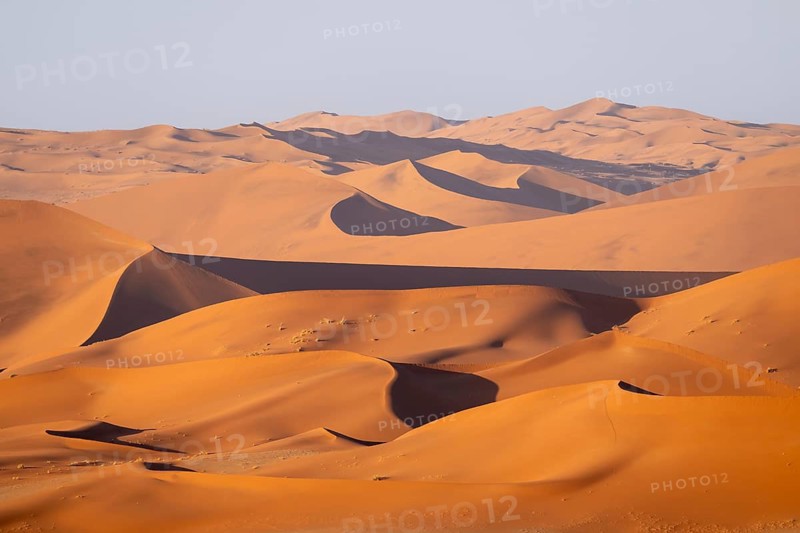 Red-yellow sand dunes of the Namib, Namib Desert, Namib-Naukluft National Park, Namibia