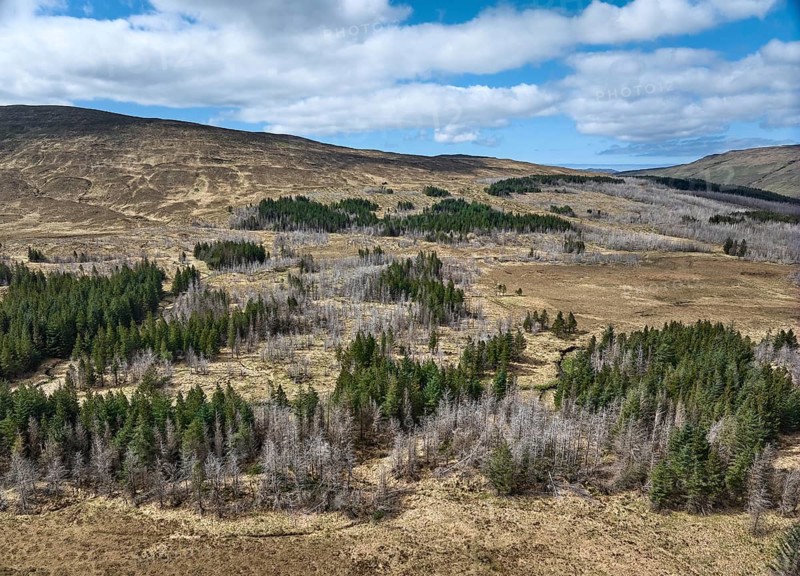 Aerial photo of a Higland landscape with partly dead fir forest on the Isle of Skye, inner Hybrides, Scotland, Great Britain, UK