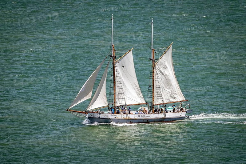 Tall ship Ted Ashby under sail, Waitemata Harbour, Auckland, New Zealand