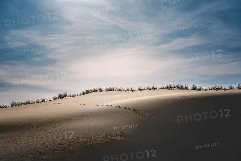 Traces in the sand of a dune on the Atlantic in the evening light