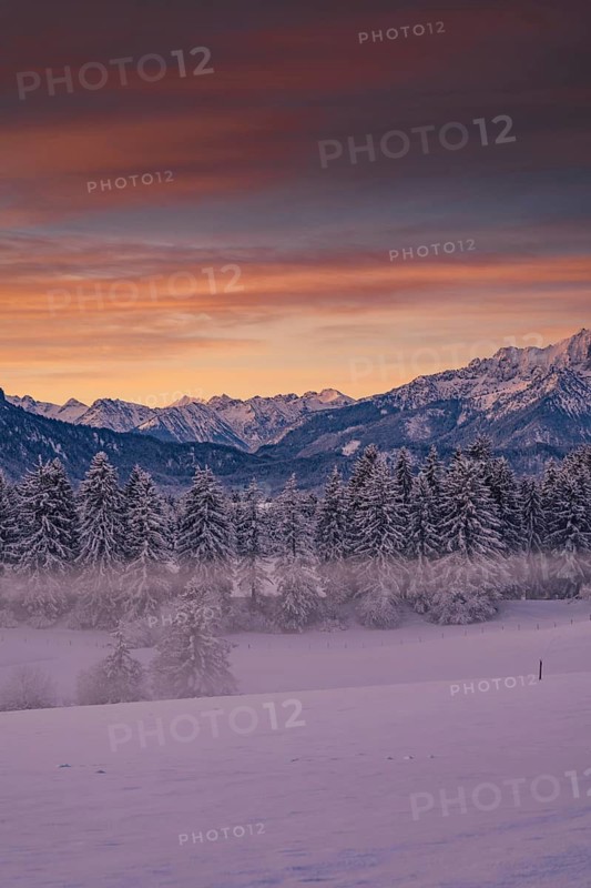 Winter landscape in the Allgäu near Halblech at sunrise