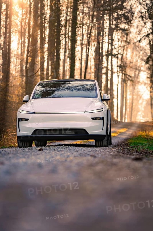 White car standing on a wooded path in the sunlight, Tesla, New Model Y, Black Forest, Germany