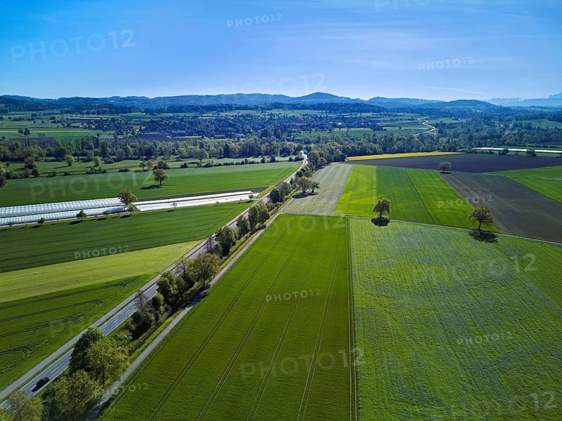 Meadows and fields, on the main road Aristau to Ottenbach, Reusstal, Freiamt, Canton Aargau, Switzerland