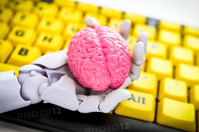 Robotic hand holding a brain in front of a computer keyboard, symbolic photo artificial intelligence +++ editorial use only