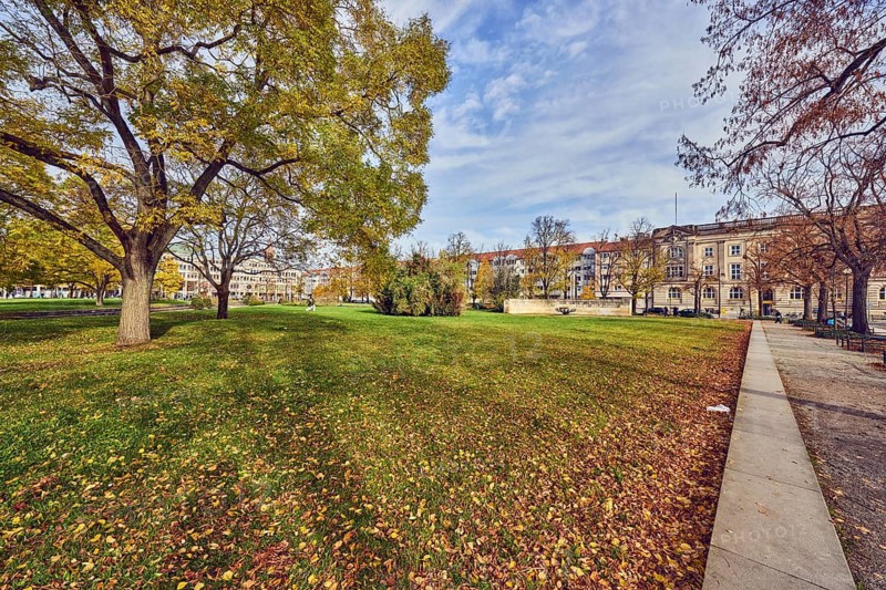 Platz der Einheit park, memorial memorial for anti-fascist resistance and against war, trees, lawn, fallen leaves, autumn leaves, autumn leaves, sidewalk, blue sky, cumulus clouds, cirrostratus clouds, street Am Kanal, Potsdam, state capital, district-free city, Brandenburg, Germany