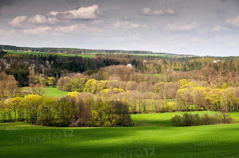 Germany, Greiz, Thuringia, Thuringia, Weidatal, floodplain, floodplain, spring, landscape, spring