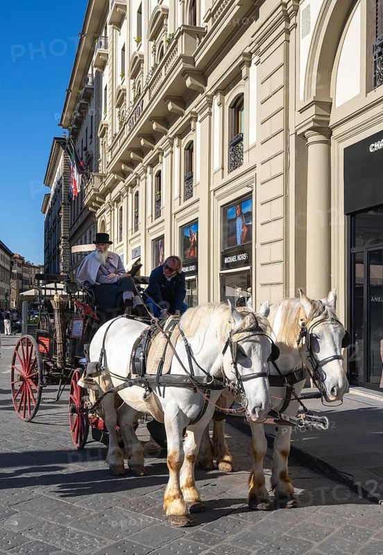 Horse-drawn carriage with two horses stands in front of the entrance to Chanel on Piazza della Repubblica, Florence, Italy