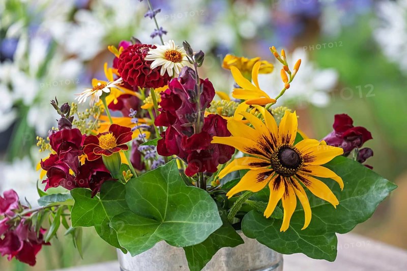 Small bouquet of coneflowers (Rudbeckia), dahlias and snapdragons, Netherlands