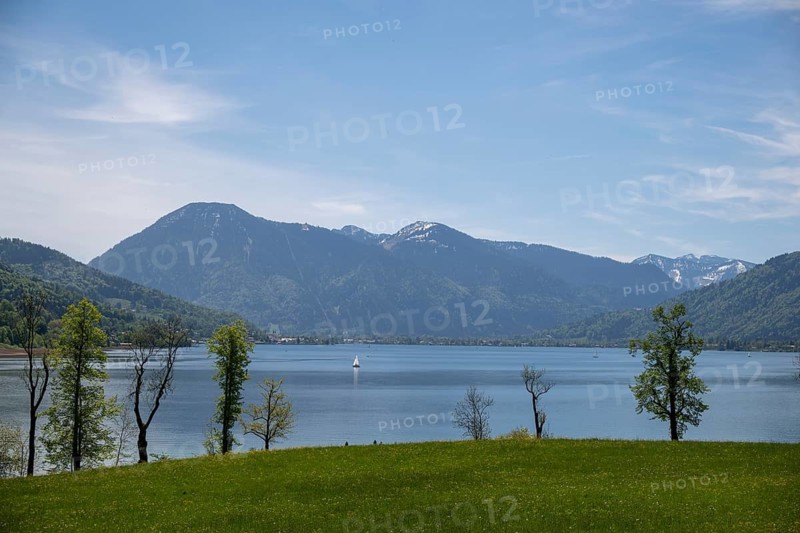 View from Kaltenbrunn across Tegernsee to Wallberg in spring, Gmund am Tegernsee, Bavaria, Germany