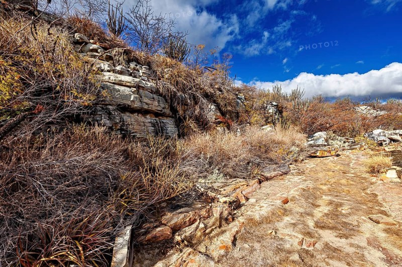 View of overgrown rocks in a dry, barren landscape, the thornshrub savanna in the Caatinga countryside in the federal states of Pernambuco and Bahia in Brazil