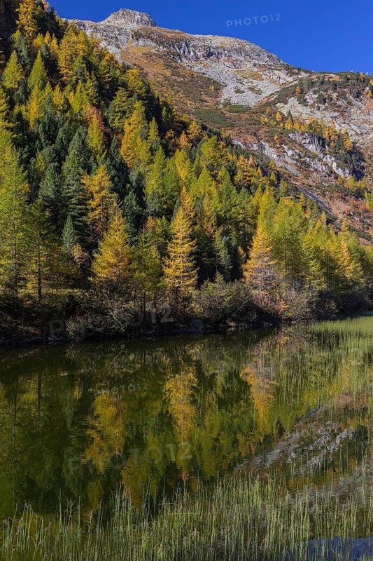 Little pond of the Malta river with a mountain forest in fall foliage on a bright sunny morning. Seen from the Malta Hochalm road. Carithia, Austria
