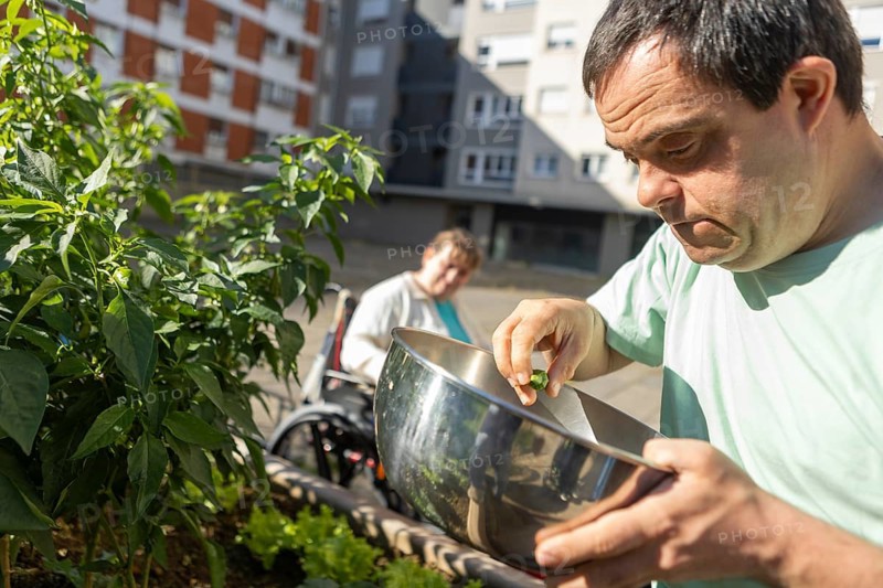 A man with an intellectual disability carefully picks fresh vegetables and places them in a bowl, while a woman in a wheelchair participates in the background