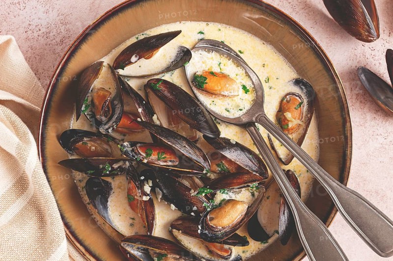 Mussels in creamy garlic sauce, served with fresh herbs and spices, homemade, no people