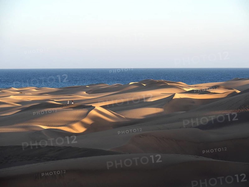 Sunlight creates dramatic shadows on dunes in front of the sea, Maspalomas Dunes, Gran Canaria, Spain