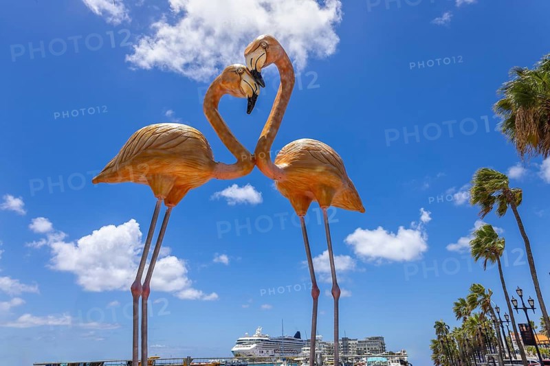 Iconic twin flamingo sculptures forming a heart shape at the Oranjestad waterfront, Aruba, with a cruise ship, palm trees and blue sky in the background, Caribbean