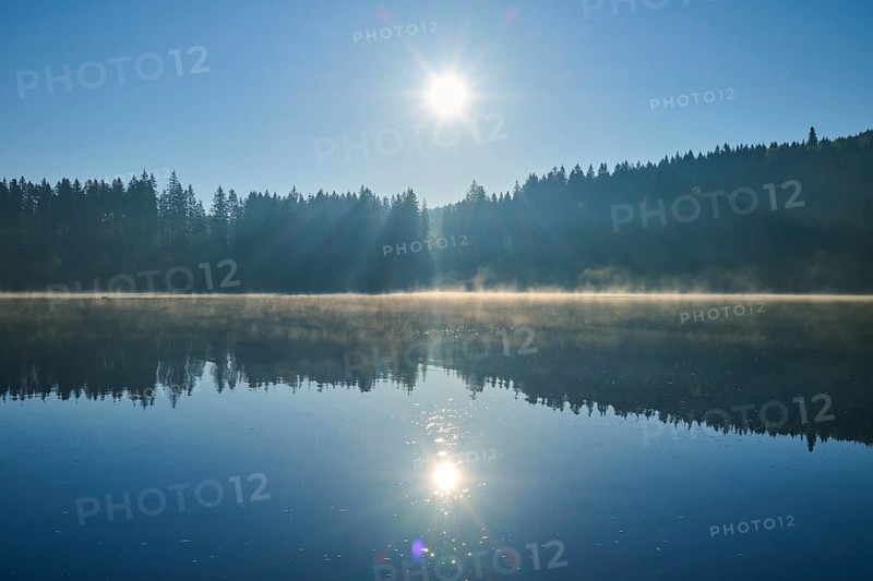 The sun is high above a quiet lake, surrounded by a forest that is reflected in the water, Windgfällweiher, Lenzkirch, Black Forest, Breisgau Hochschwarzwald, Baden-Württemberg, Germany