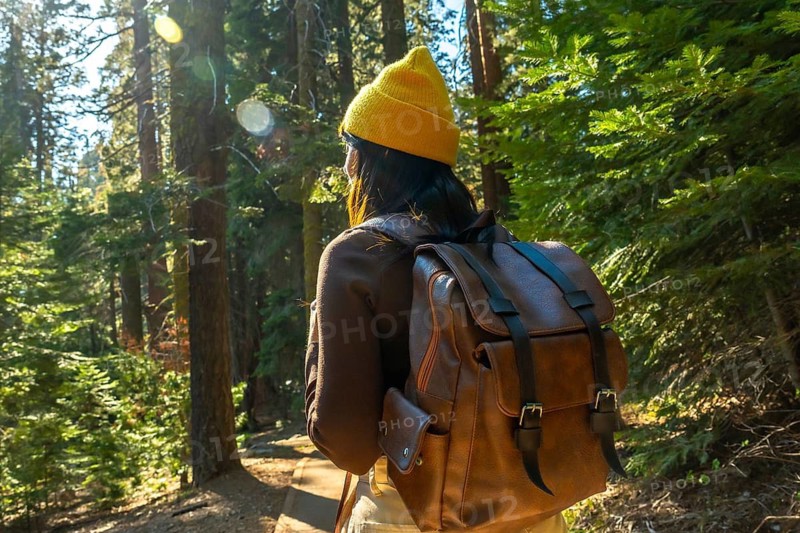 Woman in yellow beanie and brown backpack trekking a sunlit redwood trail, soaking in towering trees, fresh air and peaceful forest solitude during a california hike