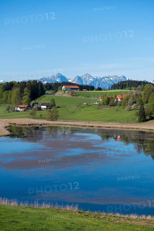 Panorama with mountains, a lake and green meadows under clear sky, Biberschwöller See, Steingaden, Pfaffenwinkel, Upper Bavaria, Bavaria, Germany