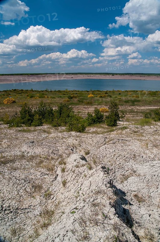 2008, Brandenburg, Germany, Nabu, Nabu project, national natural heritage, natural paradise Grünhaus, Nordrandschlauch, post-mining landscape, Grünhaus, high size, portrait format, landscape, landscape