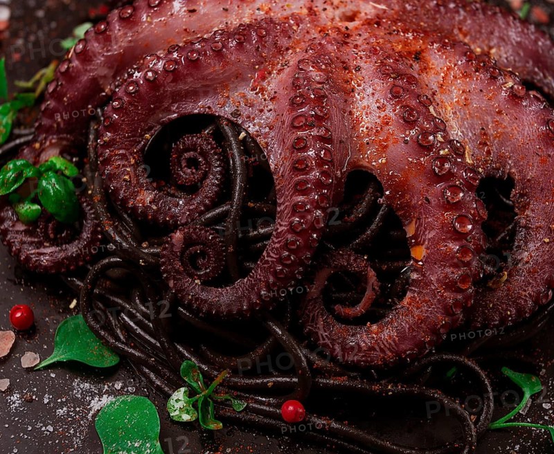 Octopus with black spaghetti, pasta, spices and herbs, top view, no people