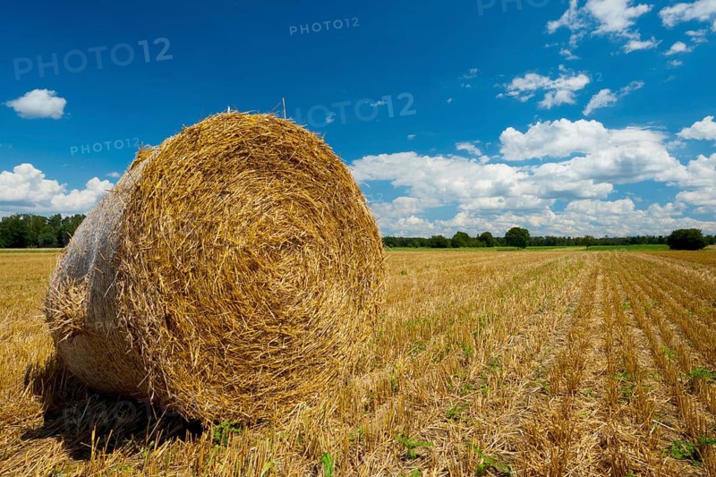 A hay bale on a grain field, Federal Republic of Germany
