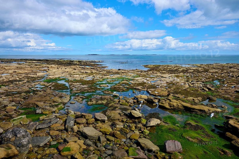 Rocky coastal area overlooking the sea under a cloudy sky, Seahouses, Northumberland, England, United Kingdom