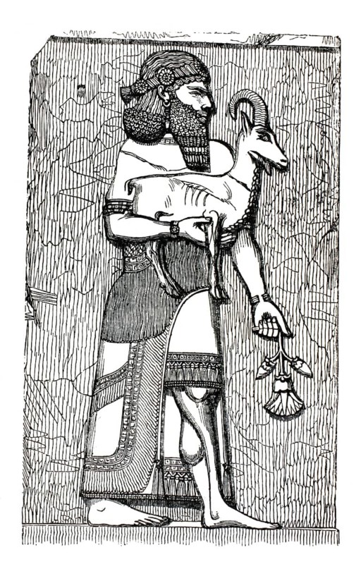 Ancient Assyrian illustration of a relief from the palace of Chorsabad, it shows a typical Assyrian figure, often interpreted as a priest, guardian god or tribute bringer, wearing a Capricorn antelope in her arms and holding a stylized lotus flower in the other hand, authentic, high-resolution reproduction of a model from the 19th century, exact date of depiction unknown, historical