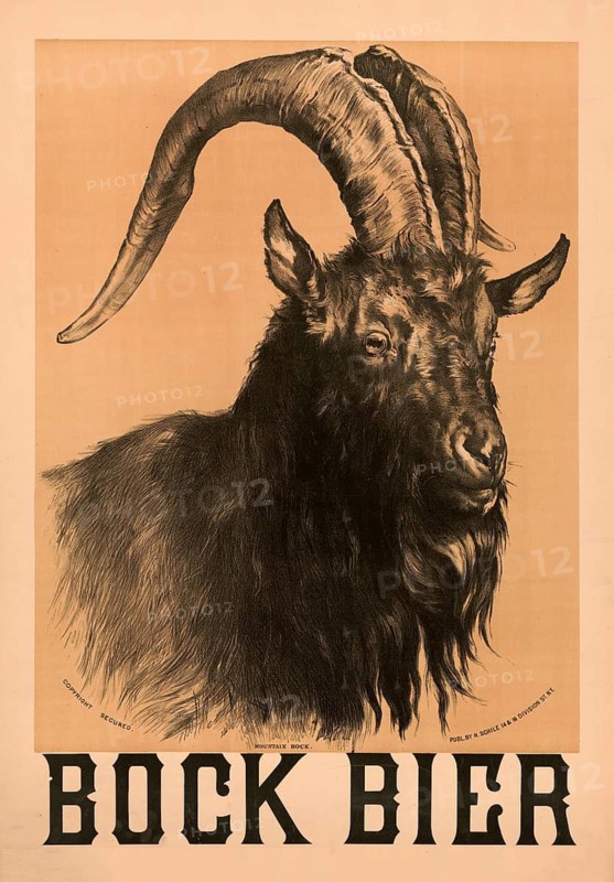 Advertising poster, beverage advertisement, vintage poster for bock beer from 1884 showing a detailed head of a goat, authentic reproduction of a historical advertising poster, advertising sign, in high resolution
