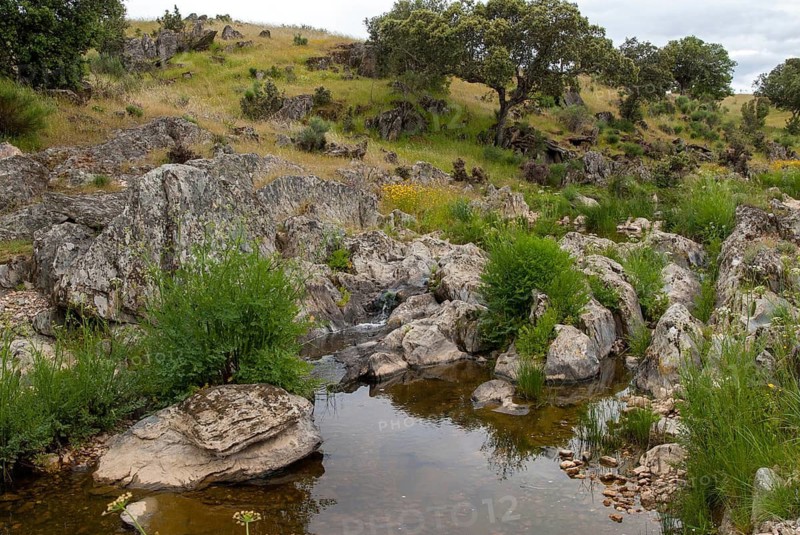 Countries, Dehesa, Extremadura, cultural landscape, landscape, countries, travel, Spain, travels