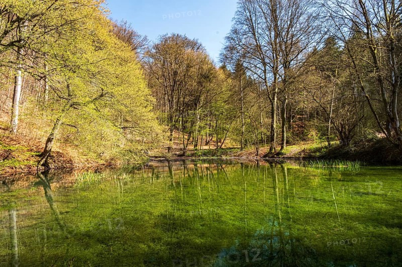 Apenteichquelle an den Apenteichen, Winzenburg, Germany